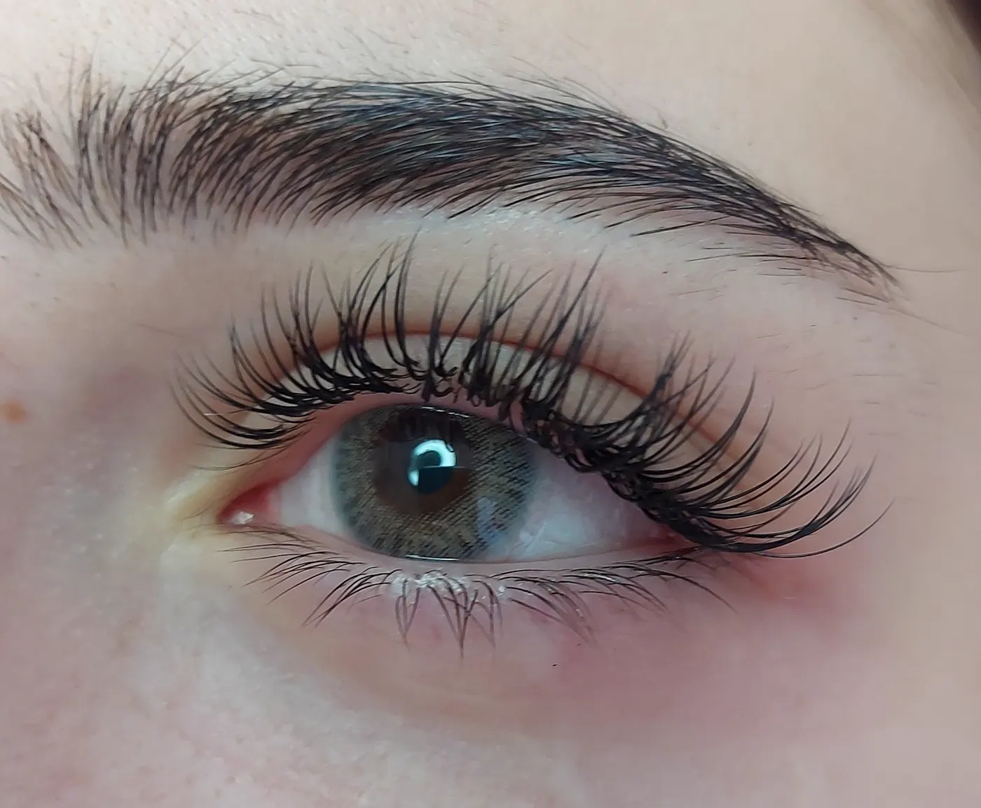 ELITE LOOK PLUS
